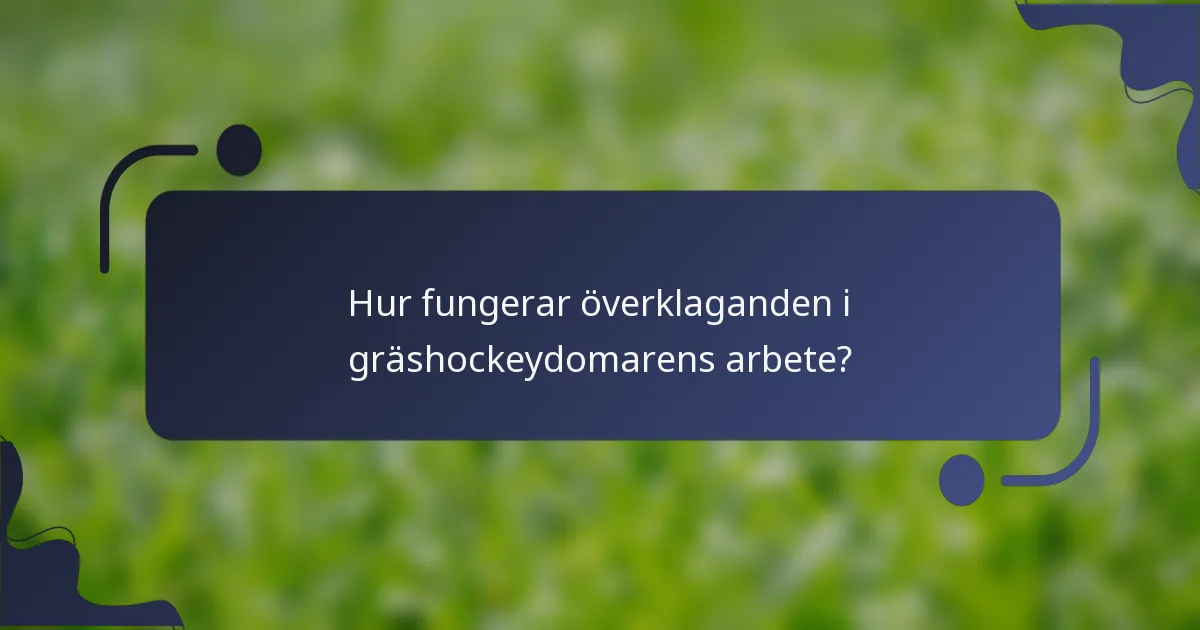 Hur fungerar överklaganden i gräshockeydomarens arbete?