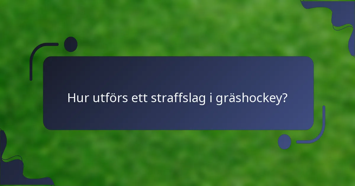 Hur utförs ett straffslag i gräshockey?