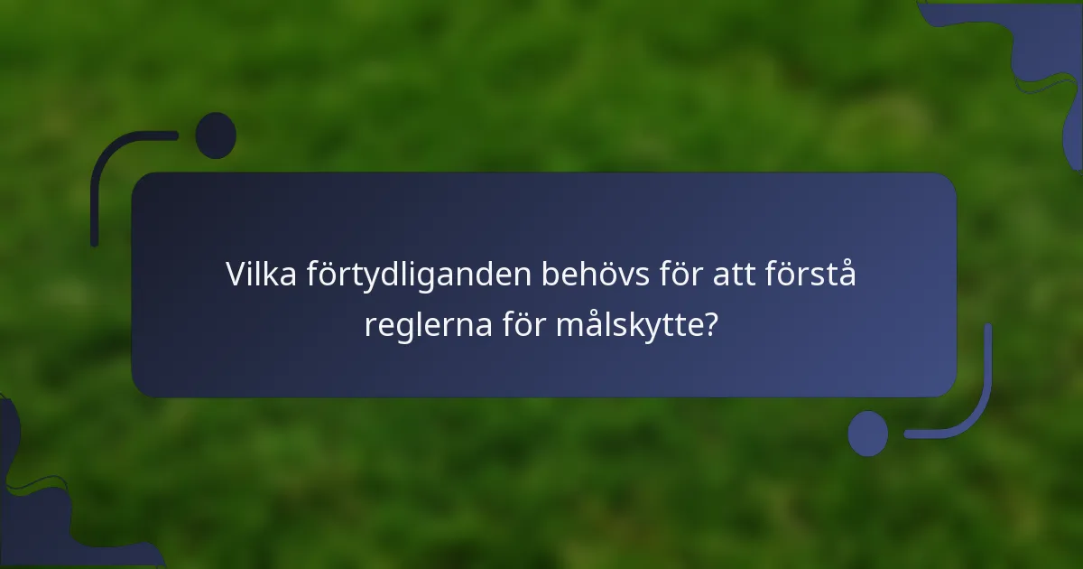 Vilka förtydliganden behövs för att förstå reglerna för målskytte?